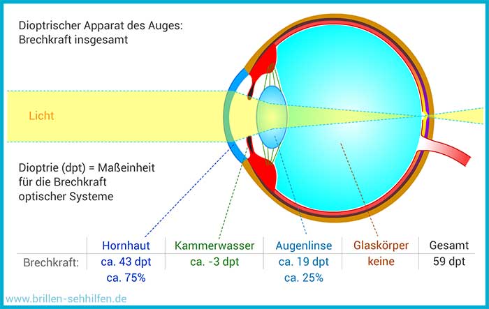 Dioptrischer Apparat des menschlichen Auges - Dioptrien des Auges