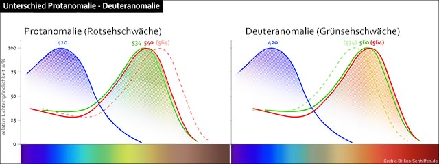 Unterschied Deuteranomalie (Grünschwäche) und Protanomalie (Rotschwäche)