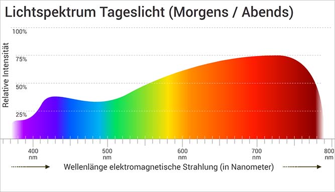 Lichtspektrum Tageslicht: Morgens und Abends vorwiegend langwellig