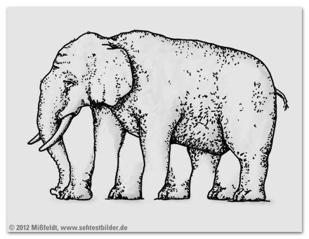 Wie viele Beine hat der Elefant? (optische Täuschung)